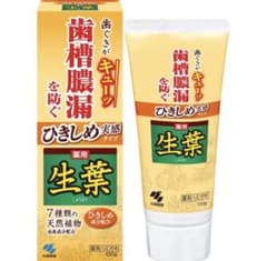 小林製薬 ひきしめ生葉 薬用ハミガキ 歯周病 歯槽膿漏 デンタルケア 100g