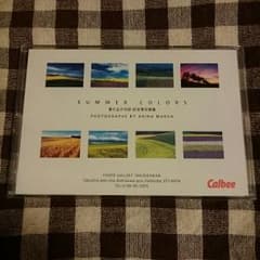 非売品 前田晃さん ポストカード 写真集のサムネイル