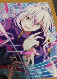 SN様専用 ブロマイドのサムネイル