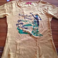 アロハスタンダード☆フラTシャツのサムネイル