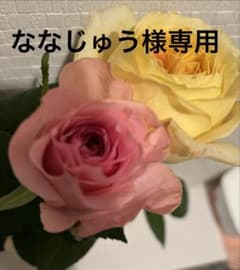 ななじゅう様専用のサムネイル