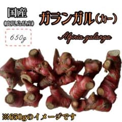 奄美大島産ガランガル650g (カー、ナンキョウ、タイ生姜)のサムネイル