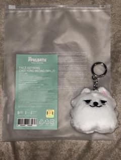 TXT PPULBATU プルバトゥ フェイスキーリング ヨンモン スビンのサムネイル