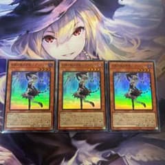 白銀の城の召使い　アリアンナのサムネイル