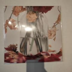 m73637430404_1.jpg?1766644458