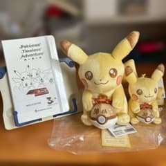 ポケモン 30周年記念 ピカチュウ ぬいぐるみ　マスコット　図鑑風ノートセットのサムネイル