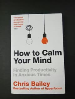 How to Calm Your Mind Chris Bailey 洋書のサムネイル