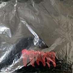 CNM cnm 大好きなあの子の第一小臼歯から第二大臼歯のサムネイル
