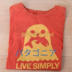 なると様　パタゴニアのサムネイル