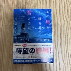 あの星が降る丘で、君とまた出会いたい。のサムネイル