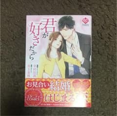 君が好きだからのサムネイル