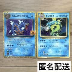 ポケモンカード 25th わるいギャラドス 20th ギャラドス まとめ売り