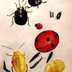 ぐらさま専用のサムネイル