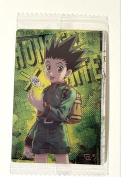 HUNTER × HUNTER 헌터 헌터 이타자가 4 곤