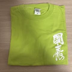 国士舘大学　Tシャツ　きみどりのサムネイル