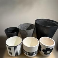 植木鉢 プランターまとめ売り　6/16までのサムネイル