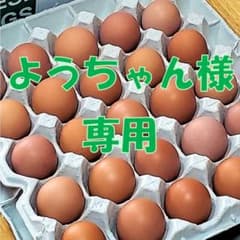 ようちゃん様専用【訳アリ品+通常品混合】S-M50個のサムネイル