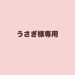 うさぎ様専用 3点同梱クリックポスト発送 専用箱は折りたたみ中身を