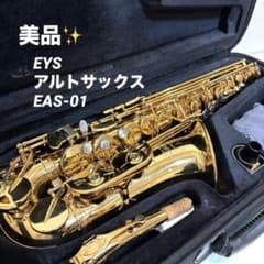 EYS アルトサックス EAS-01 ケース、クリーニング用品付 - メルカリ