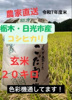 令和7年産】栃木県日光市産 コシヒカリ 20kg（玄米）産地直送 注文後