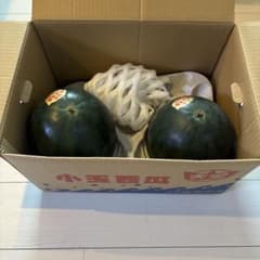 鳥取西瓜 小玉西瓜2つ 3Lサイズのサムネイル