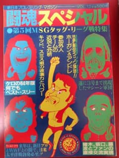 闘魂SPECIAL Vol.13 第5回MSGタッグ・リーグ戦特集のサムネイル