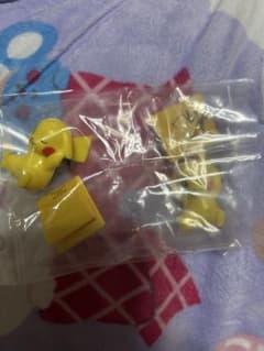 포켓몬 발견! 마스코트 피카츄