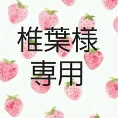 椎葉様専用のサムネイル