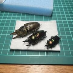 【リンリンリン 913様専用】標本 パーツ用のサムネイル