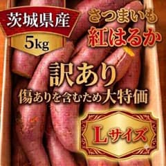 茨城県産さつまいも 紅はるか 5kg Lサイズ 訳ありのサムネイル