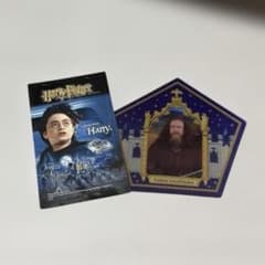ハリー・ポッター　カエルチョコGodric Gryffindorカードのサムネイル
