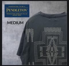 PENDLETON FREAK'S STORE別注 ネイティブ柄T Mのサムネイル