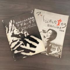 若林のぶゆき 写真集 セット アッ とびだした女たち アダムとイヴ