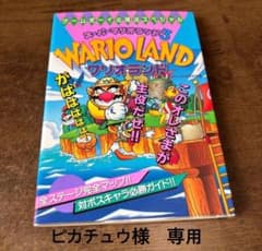 ピカチュウ様専用のサムネイル