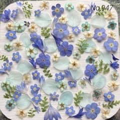 No,947 特小小花ミックス ドライフラワー花材 - メルカリ