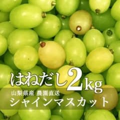 a73 訳あり 山梨県産 シャインマスカット 粒 箱重込2kgのサムネイル