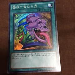 強欲で貪欲な壺のサムネイル