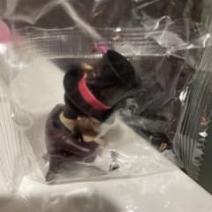 ドクターファシリエ　ディズニーのサムネイル