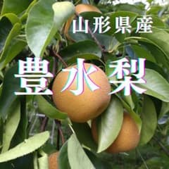 豊水梨 20個入 約4.5kg No.66のサムネイル