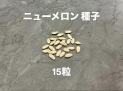 ニューメロン 種子 15粒のサムネイル