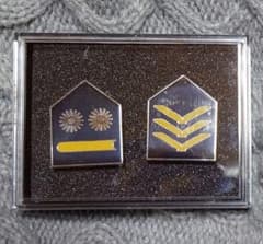 m73685544336_1.jpg?1711295018