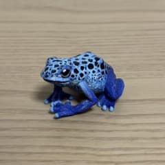 サンシャイン水族館 ガチャガチャ アイゾメヤドクガエル フィギュアのサムネイル