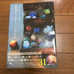鉱物キャンドルのつくりかた : 可愛い結晶をつくる、個性的なろうそくレシピのサムネイル