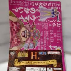 ONE PIECE 신사황 클리어 파일 & 스티커 & 티켓 케이스 린린