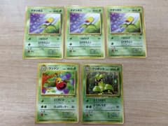 旧裏 ポケモンカード マダツボミ ウツドン ウツボット 5枚セット 美品