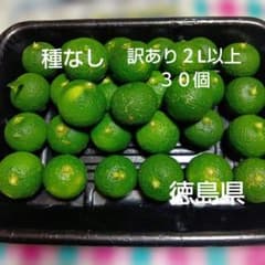 種なしすだち　訳あり２L以上３０個のサムネイル