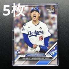 m73699291810_1.jpg?1740745341