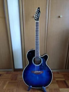 Takamine TDP500-6DBS 【250本限定生産モデル】のサムネイル