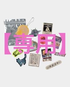 【専用ページ】のサムネイル