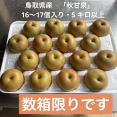 61 ．鳥取県産　秋甘泉　農家直送 　　　　 　　　　　5 キロ以上のサムネイル